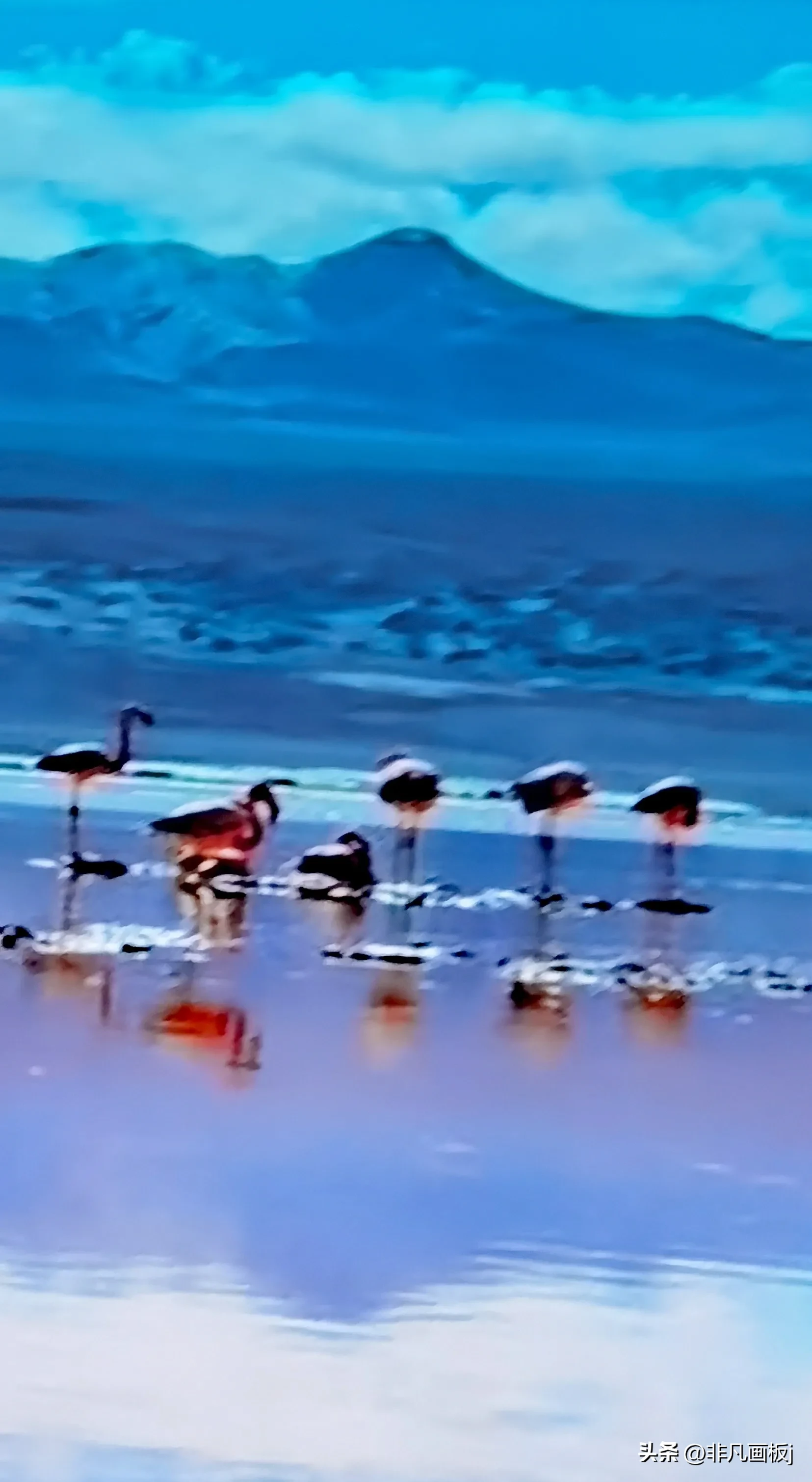 你见过哪些带有精彩瞬间的照片?