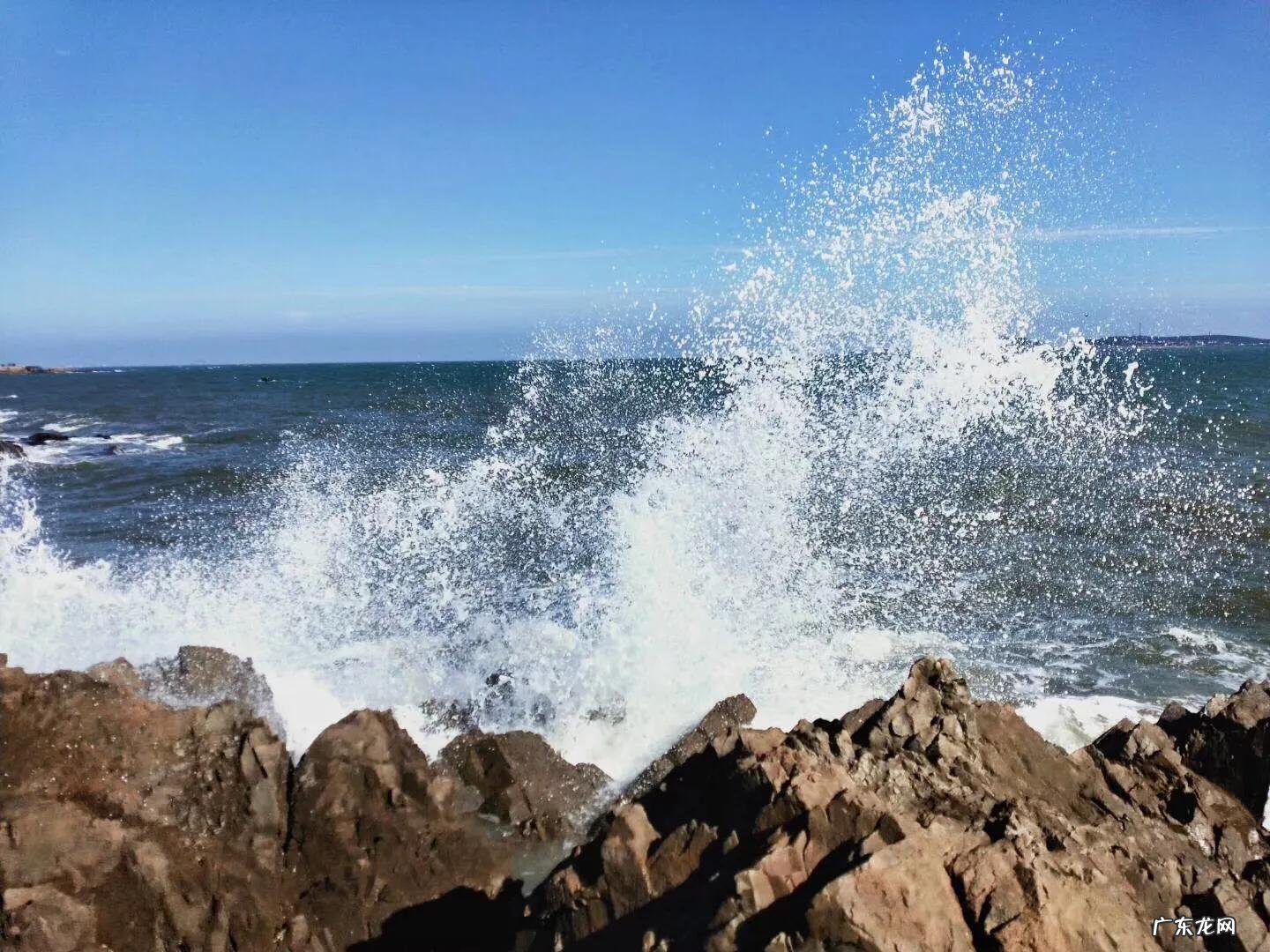 你见过哪些带有精彩瞬间的照片？