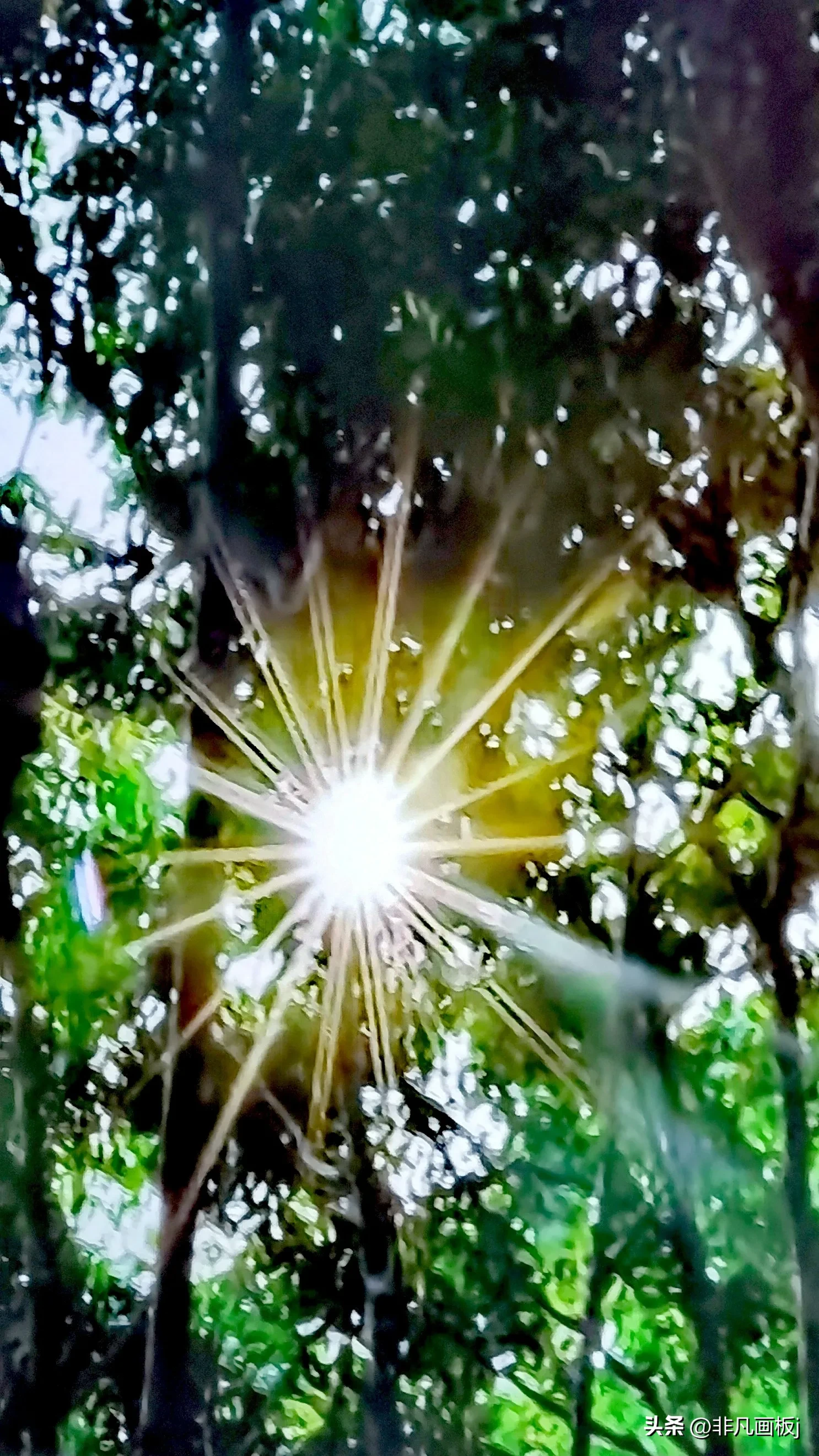 你见过哪些带有精彩瞬间的照片?