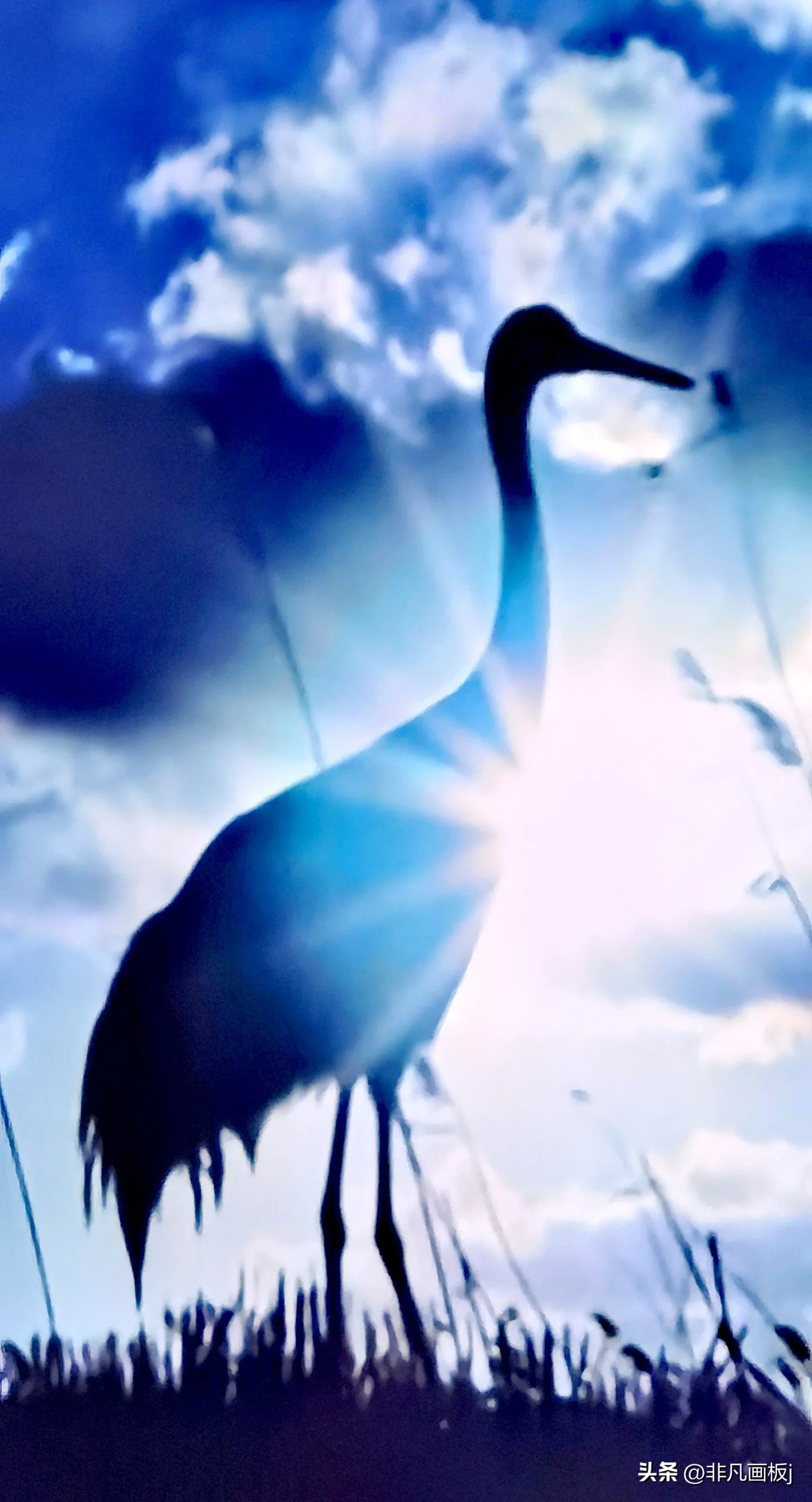 你见过哪些带有精彩瞬间的照片?