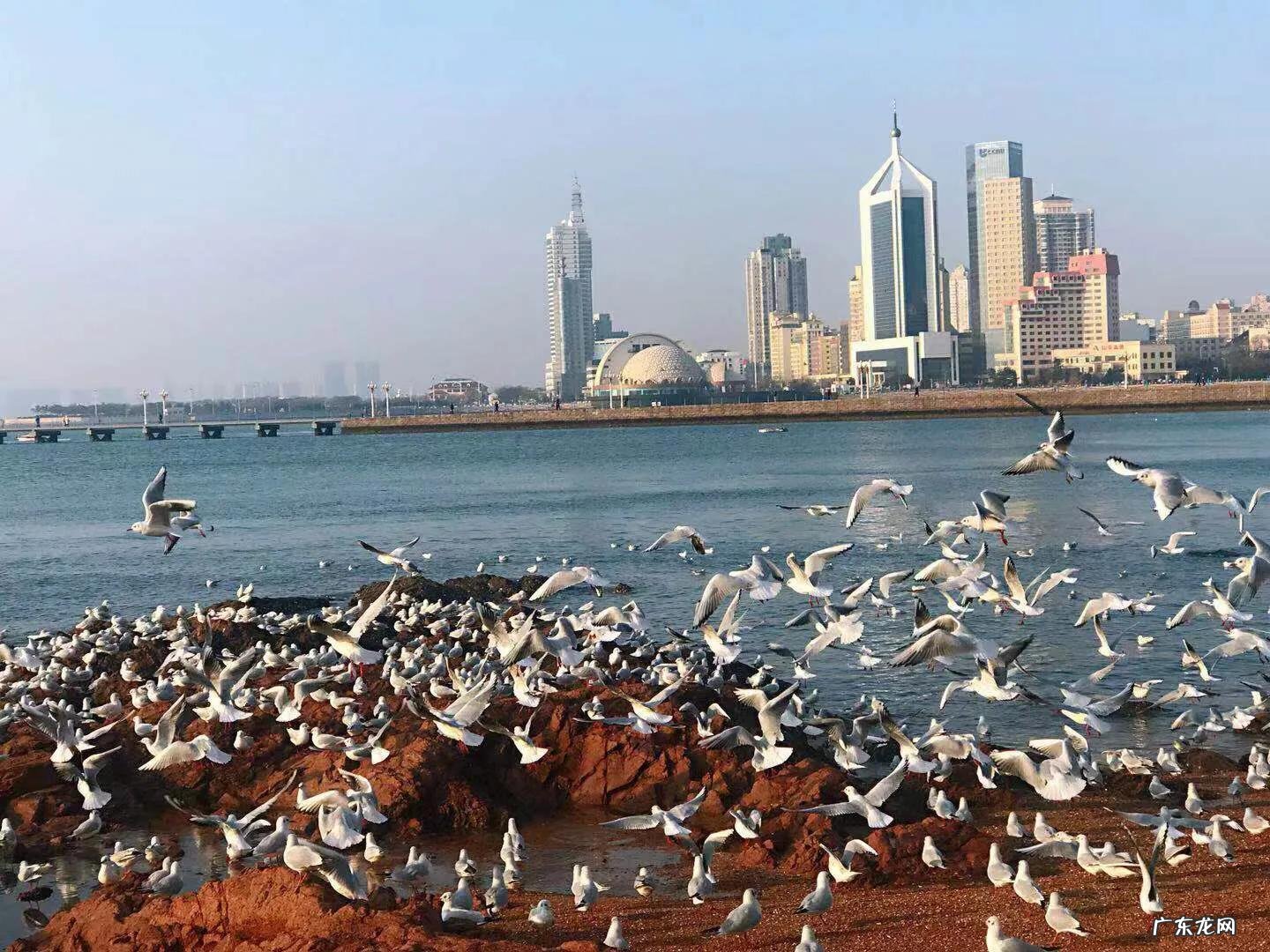 你见过哪些带有精彩瞬间的照片？