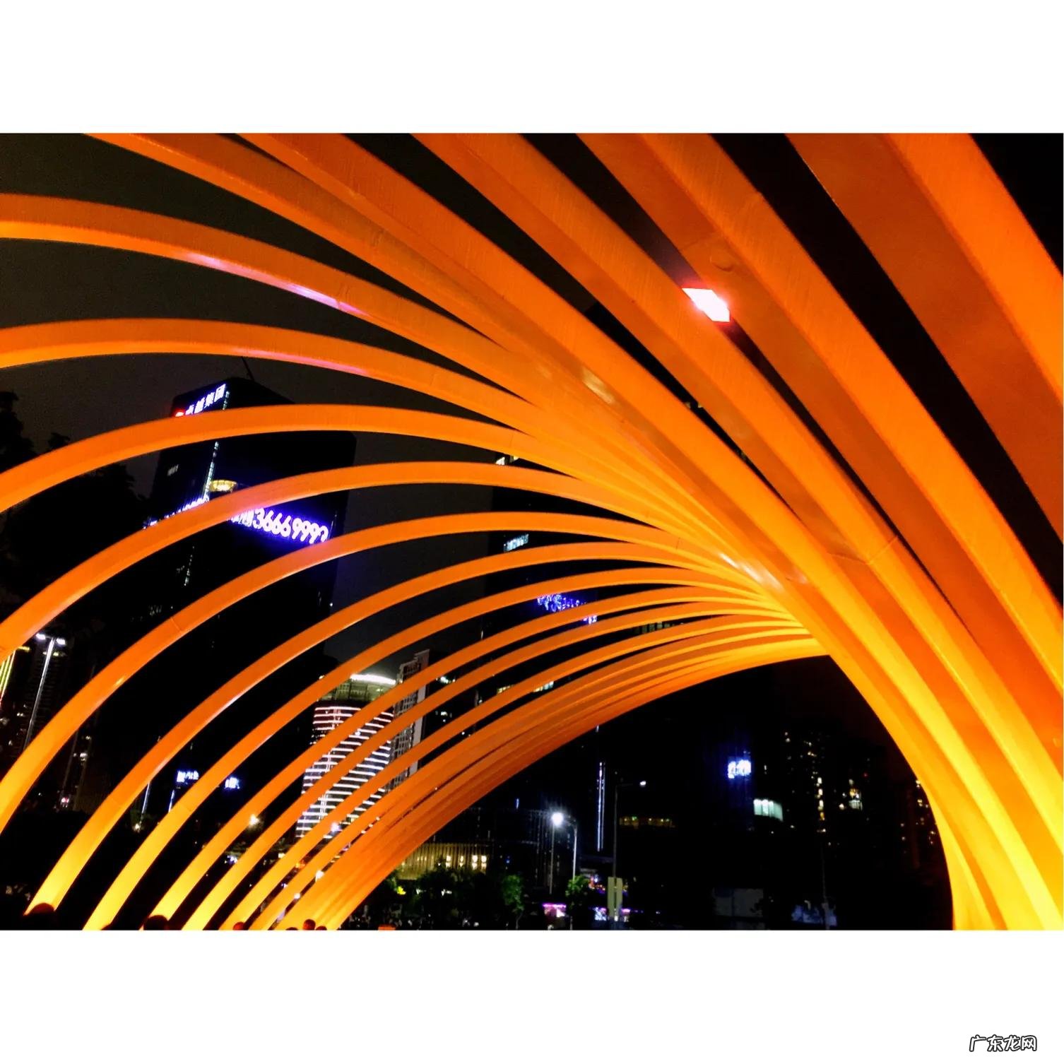 你见过哪些带有精彩瞬间的照片?