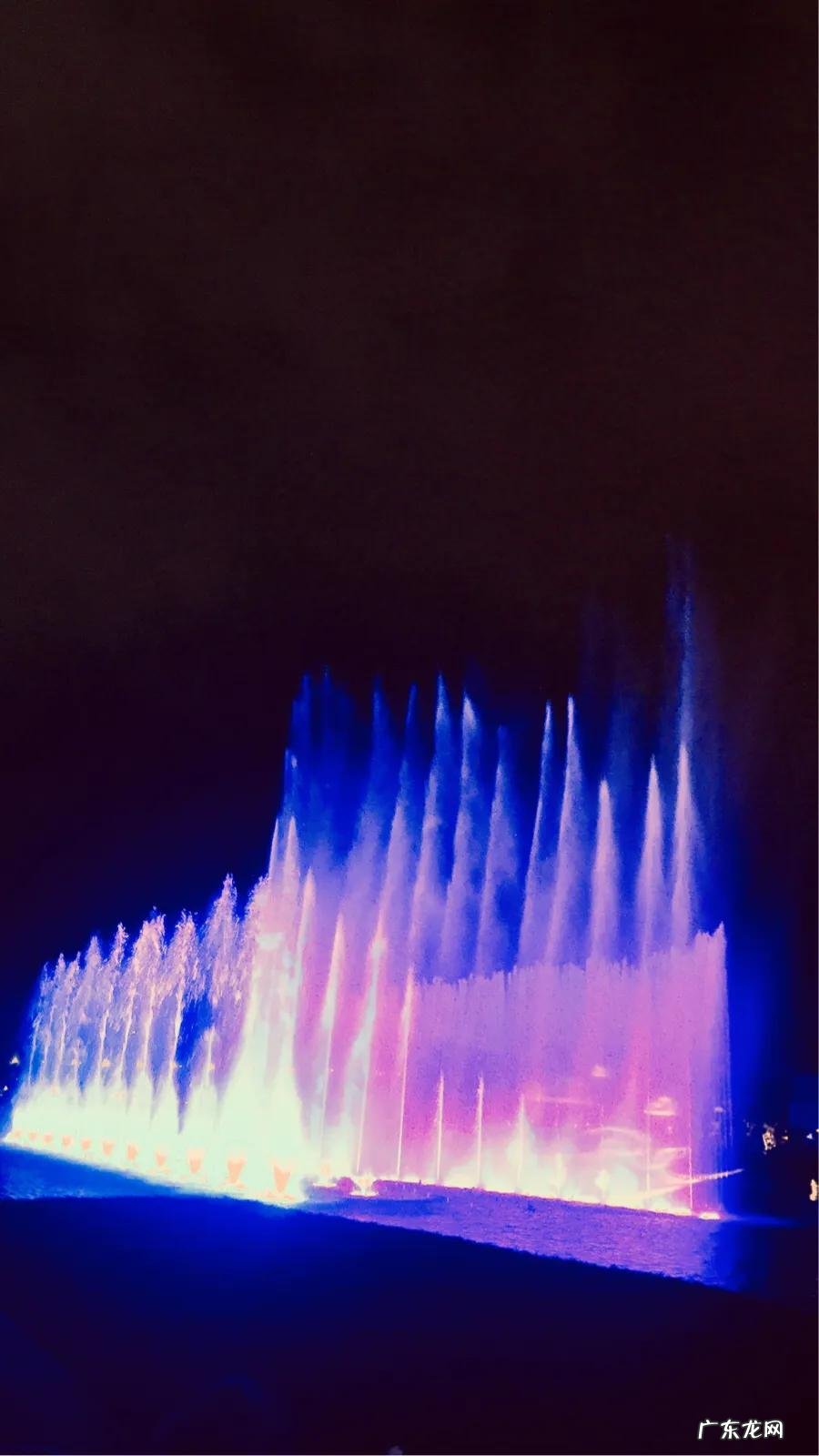 你见过哪些带有精彩瞬间的照片?