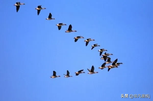 你见过哪些带有精彩瞬间的照片?