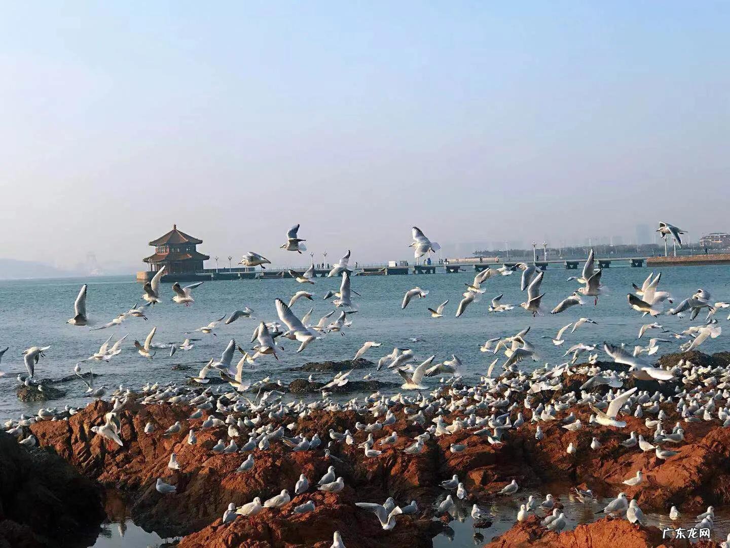 你见过哪些带有精彩瞬间的照片？