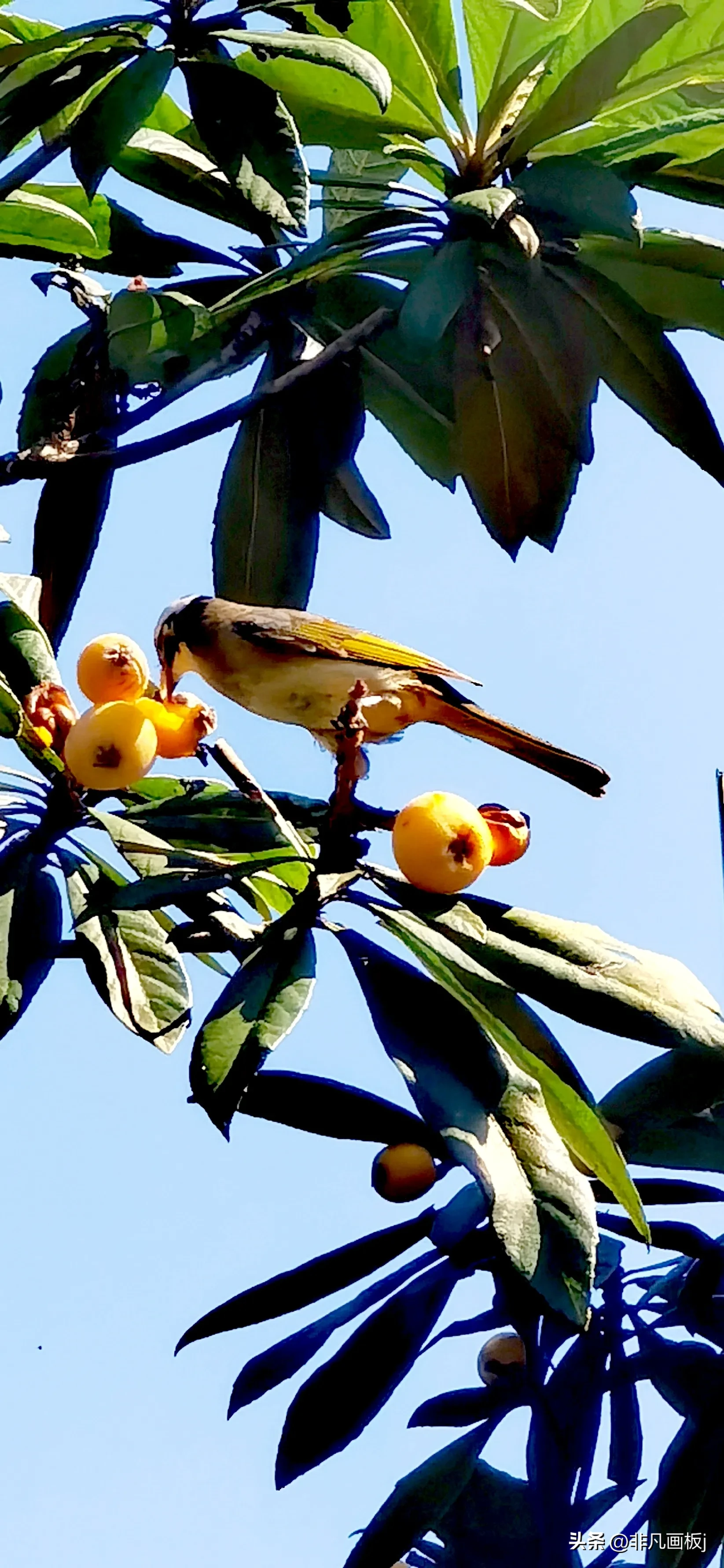 你见过哪些带有精彩瞬间的照片?