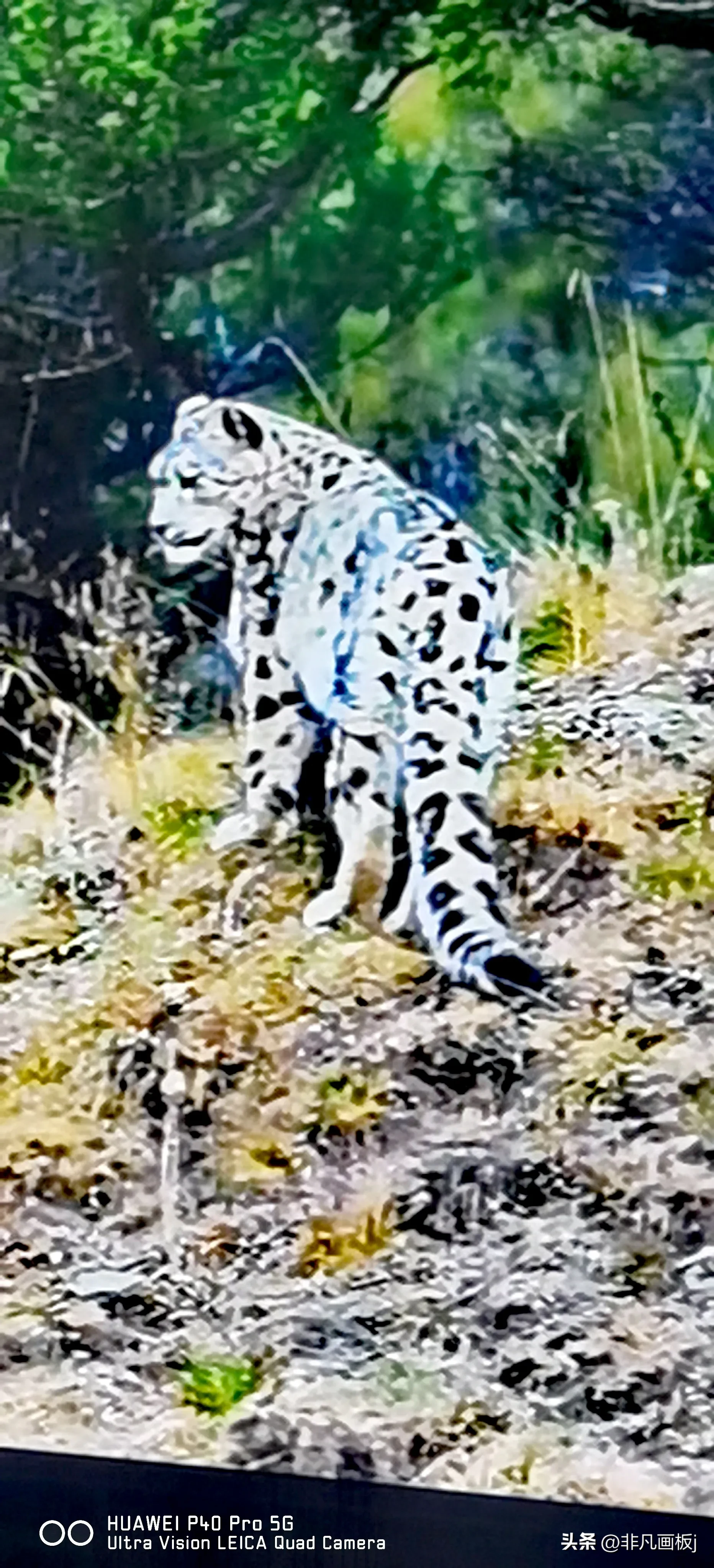 你见过哪些带有精彩瞬间的照片?