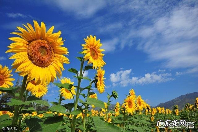 人生路上,你听过最暖心的一句话是什么?