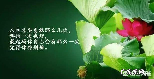 人生路上,你听过最暖心的一句话是什么?