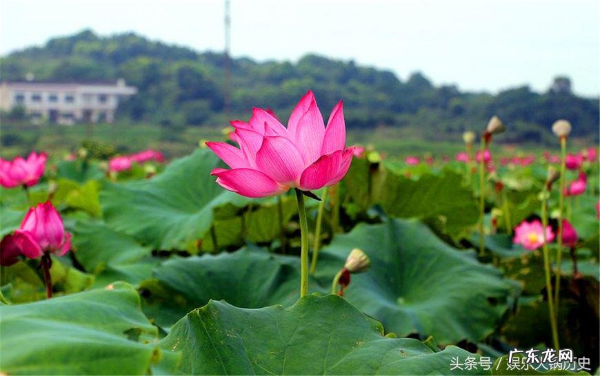 农村俗语:有钱不买河边地,有道理么?下一句更现实,说透了人性 房子靠河边风水不好