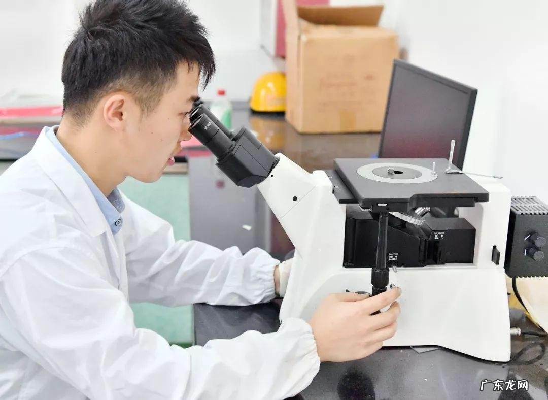 高考报考有哪些专业可供选择 高考选专业怎么选