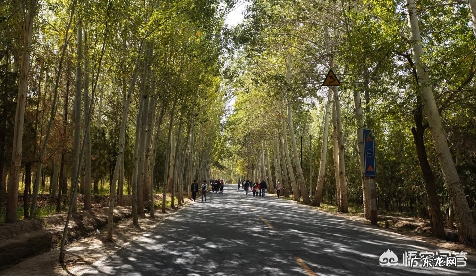 我曾从兰州出发去敦煌,去参观敦煌莫高窟和鸣沙山,敦煌为何被誉为世界文明艺术之都?