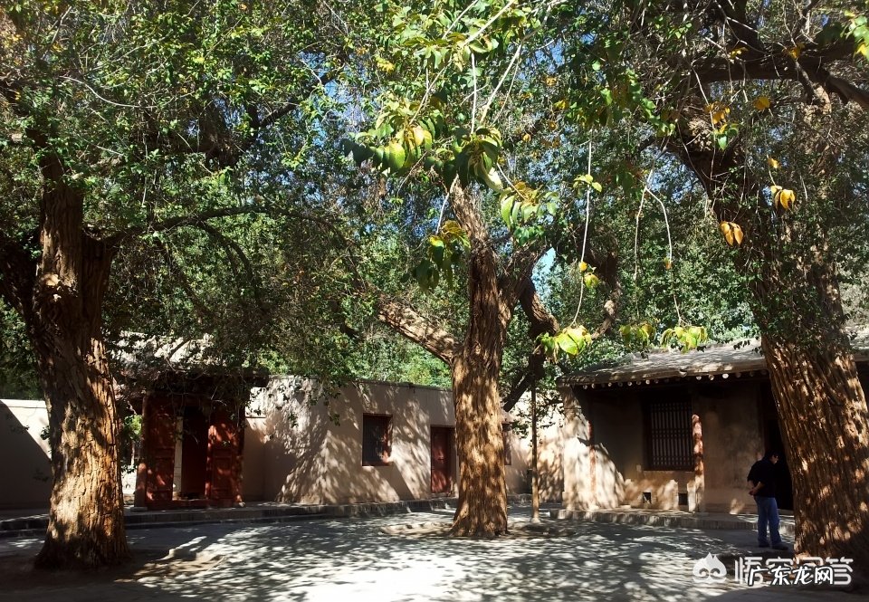 我曾从兰州出发去敦煌，去参观敦煌莫高窟和鸣沙山，敦煌为何被誉为世界文明艺术之都？