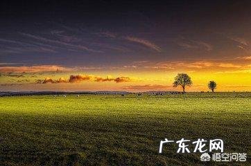 听过宗次郎的《故乡的原风景》吗？感觉如何？