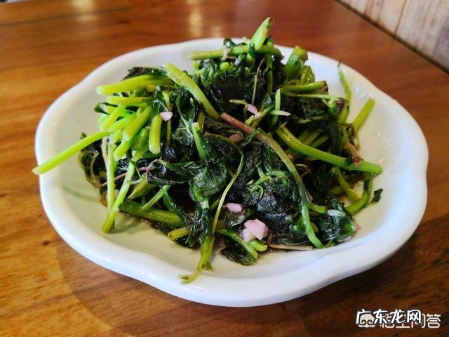 夏日的时令蔬菜有哪些,家常做法是什么?