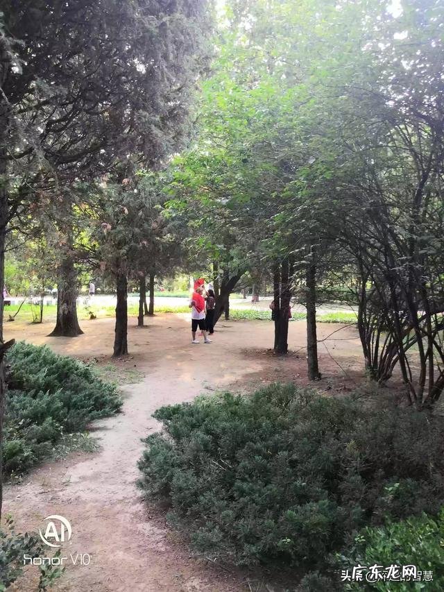 如果你一个人生活的话,你现在会过得怎么样?