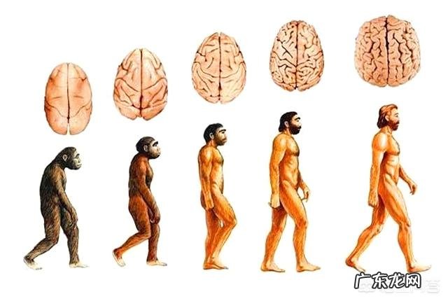 有哪些拥有特别强能力的生物?