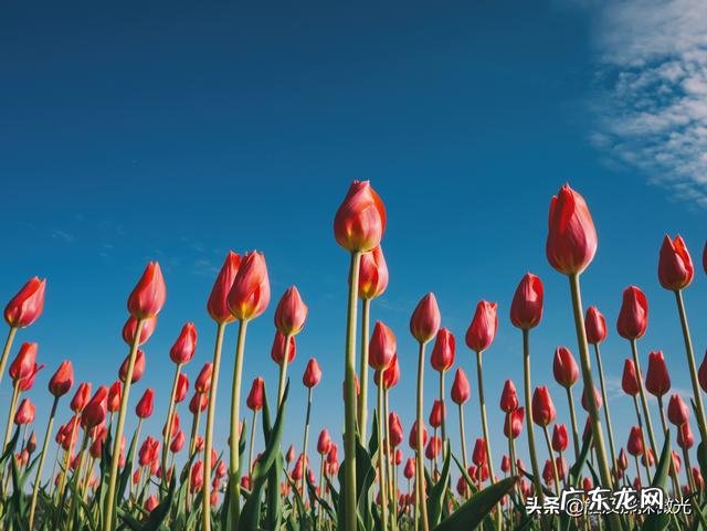 你怎么看待B站的《后浪》,是对年轻人的鼓励还是捧杀?