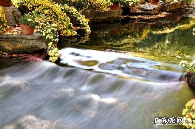 泡茶的水温和水质对茶味道有什么影响?