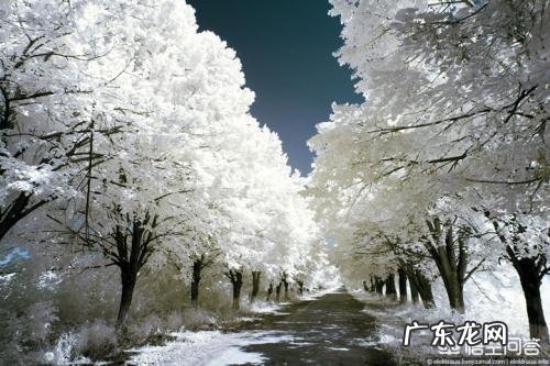 农村老话:“冬至一场霜,过冬如筛糠”是什么意思?