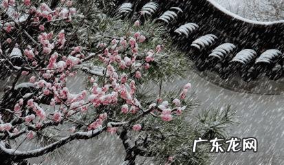 农村老话:“冬至一场霜,过冬如筛糠”是什么意思?