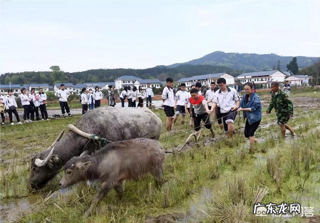 农村老话：“冬至一场霜，过冬如筛糠”是什么意思？