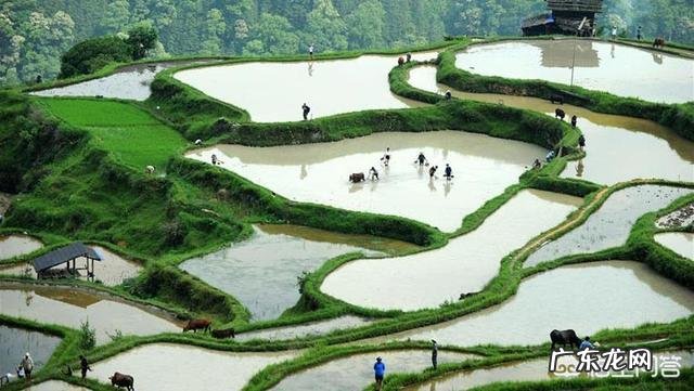 农村老话：“冬至一场霜，过冬如筛糠”是什么意思？