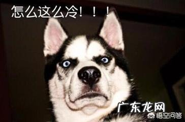 农村老话:“冬至一场霜,过冬如筛糠”是什么意思?