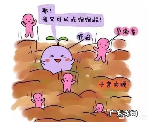 怀孕第一天是怎么算的?