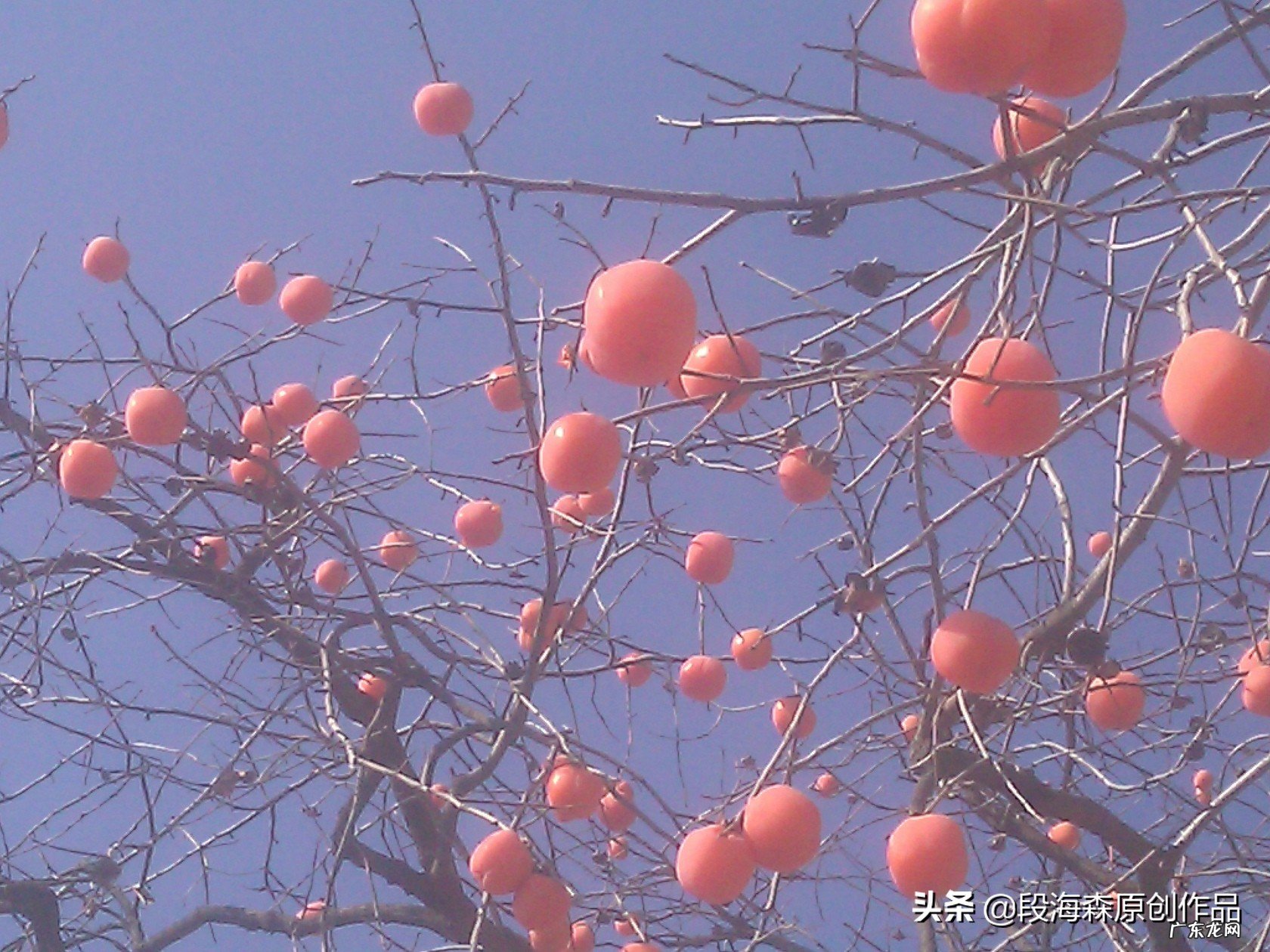 人最不该辜负谁?你怎么看?