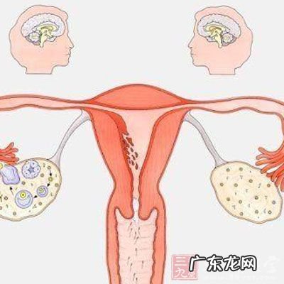 月经量少是不是不会怀孕 月经量少能怀孕吗