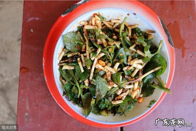 种植鱼腥草要不要见太阳?为什么?