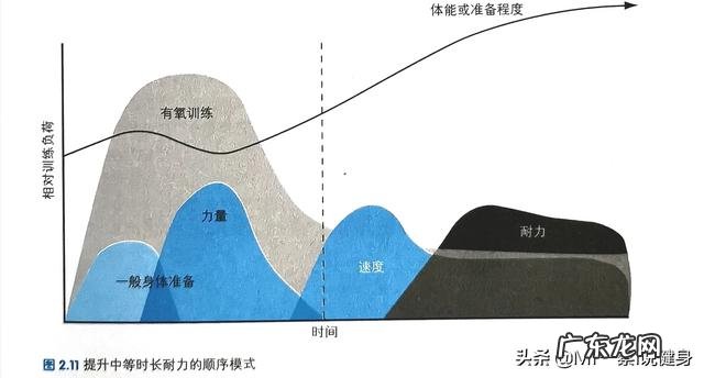 健身小白一周锻炼计划中要不要把手臂训练计划多安排几次，想把手臂快速练起来，不然练胸没力气？