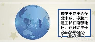 去看家具，店员说橡胶木是橡木，有什么区别？