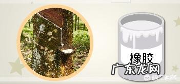 去看家具,店员说橡胶木是橡木,有什么区别?