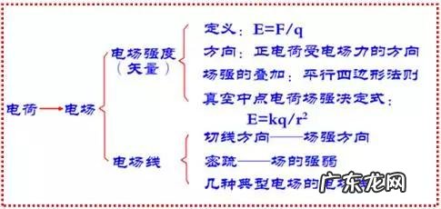 电场强度大小 电场强度方向和电场力方向一样吗