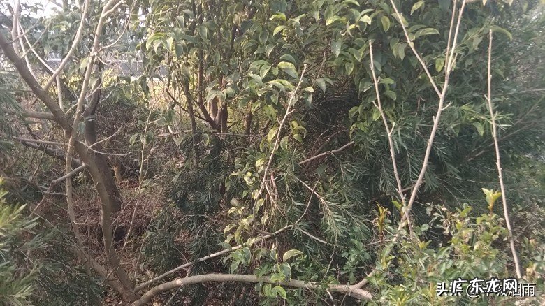 人只有经历苦难折磨之后，才能品尝出幸福的滋味，对此你怎么看？