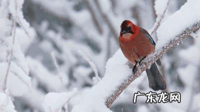 农夫山泉为什么这么成功?