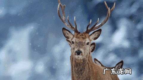 农夫山泉为什么这么成功?