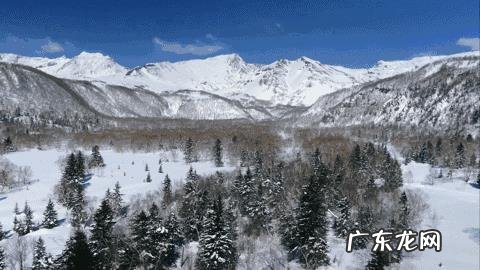 农夫山泉为什么这么成功?