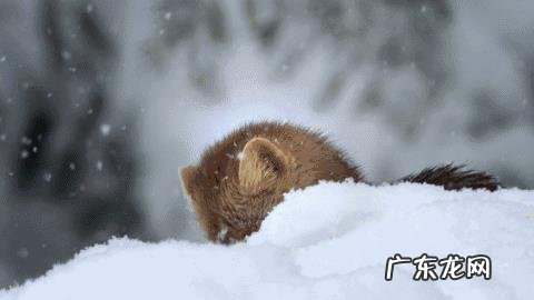 农夫山泉为什么这么成功?