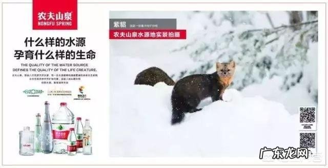 农夫山泉为什么这么成功?