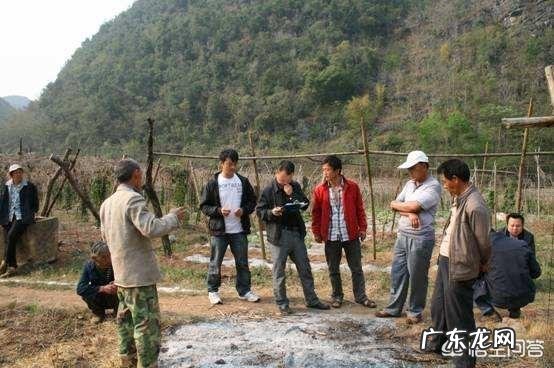 农村俗语老话“坟地莫搬,是为不尊”啥意思呢?