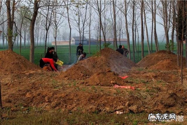 农村俗语老话“坟地莫搬,是为不尊”啥意思呢?