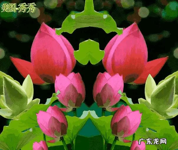 央视记录片《苹果树下》的那一家子，现在他们的情况好些了吗？