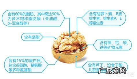 多吃核桃补脑的真相到底是什么?