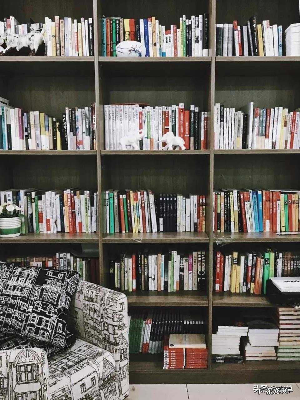 世界读书日这一天,你可曾读书?