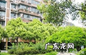 家居风水:大门内外吉与凶 一 大门口一个亭子风水怎么样
