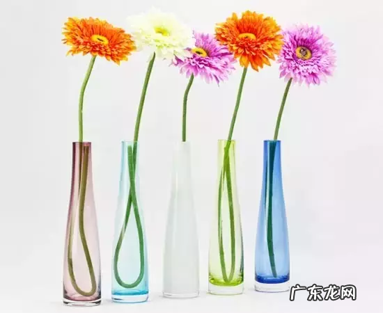 生财有道!三招让你家变旺宅! 怎么能把风水不好的房子改丰收