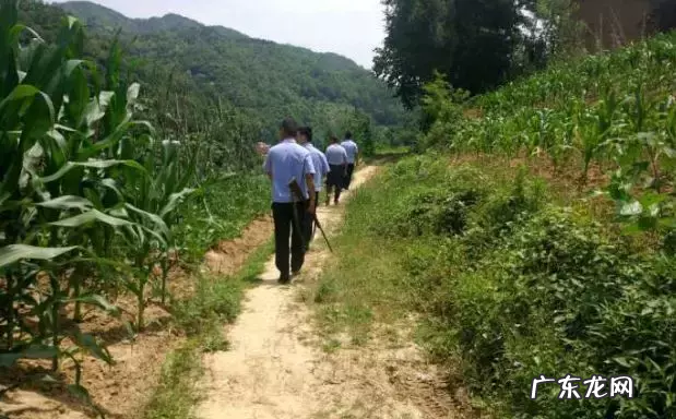 安康发生的大事小事……6.26 风水房子旁边神公庙